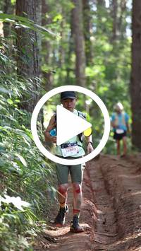 BIB:  <button type="button" onclick="openModal(26569614)" class="btn btn-primary btn-sm float-right" data-toggle="modal" data-target=".modal-high-quality">
                <i class="fa fa-download"></i> Download
                </button>